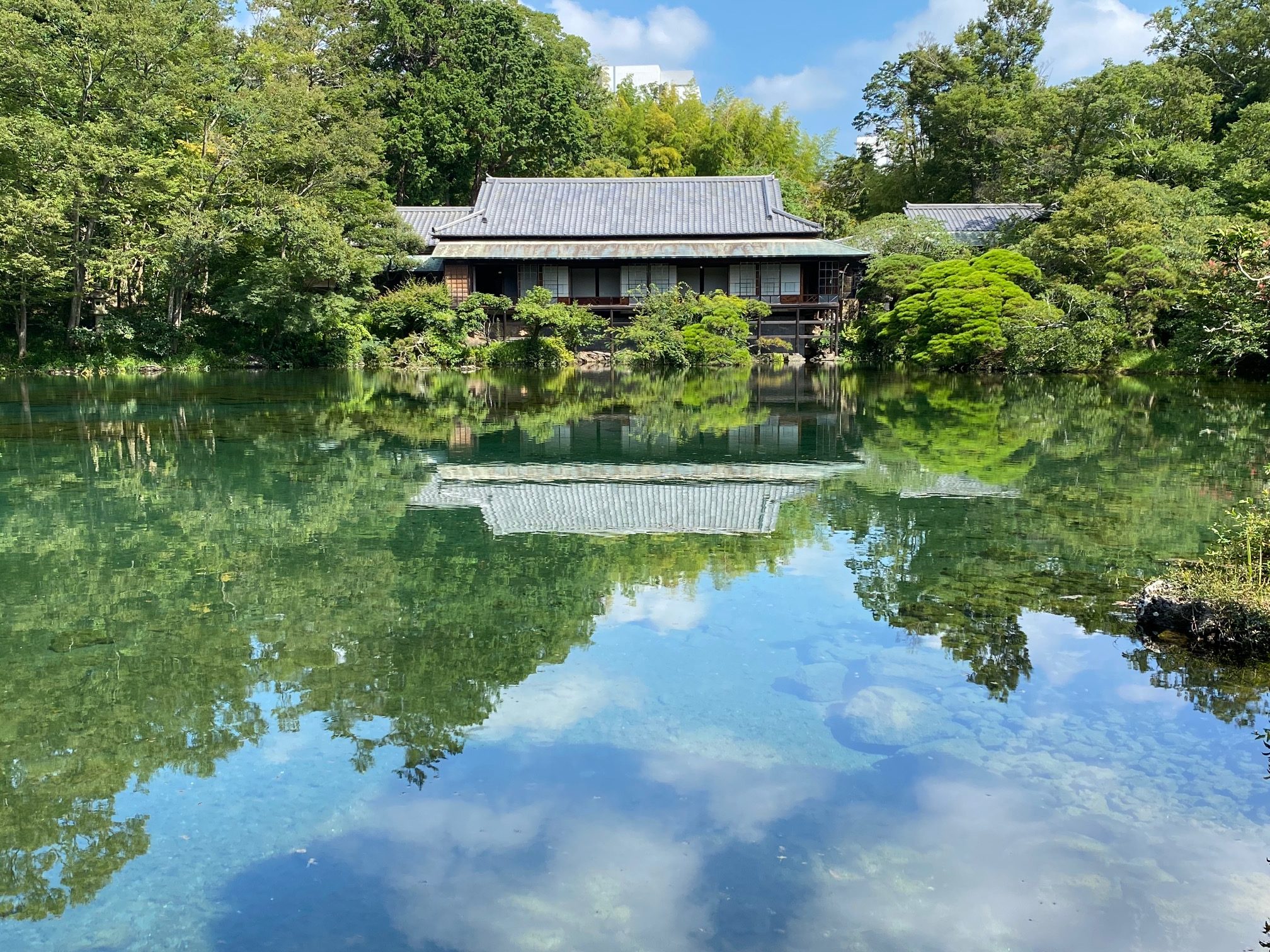 小浜池に姿を映す楽寿館